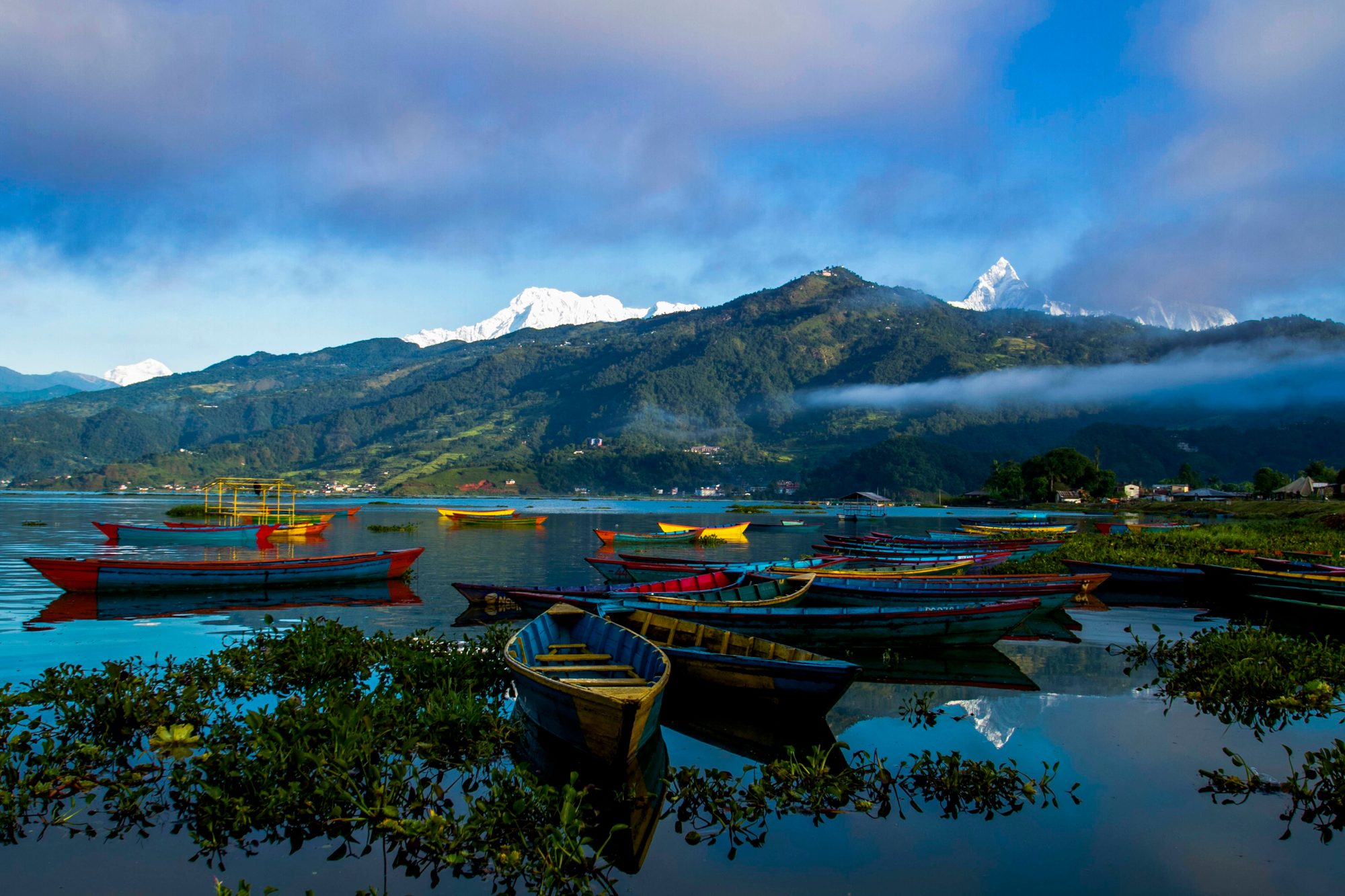 Colourful wooden boats on Phewa Lake at dawn, with the Annapurna range reflected in the water